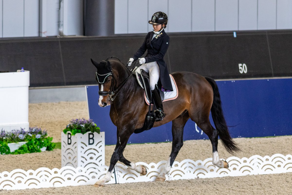 馬場馬術DVD 2枚組 ENJOYING DRESSAGE 1&2 馬場馬術DVD 2枚組 ENJOYING DRESSAGE 1&2 - メルカリ