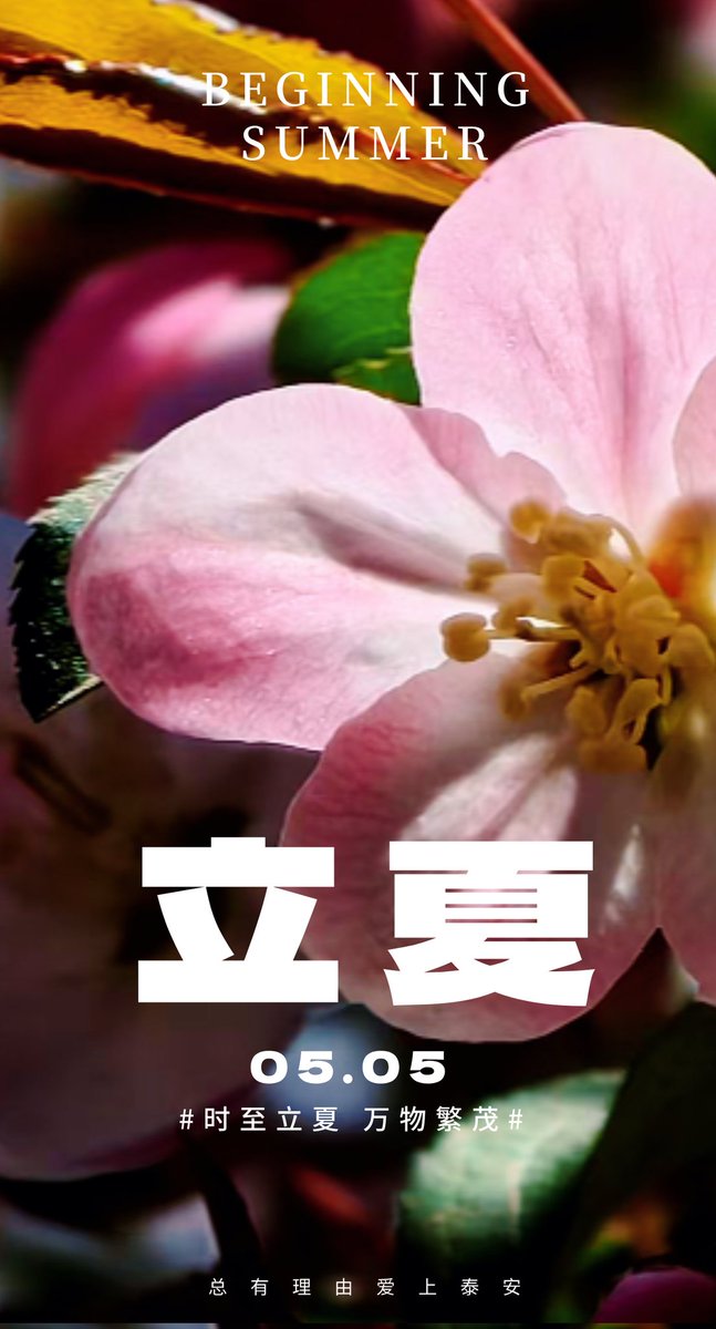 ErHao671's tweet photo. On May 5th, the beginning of summer, Mount Tai in the east is presenting a grand floral spectacle.#好客山东 #Shandong #Taian #24solarterms https://t.co/0eUk1KeHj7