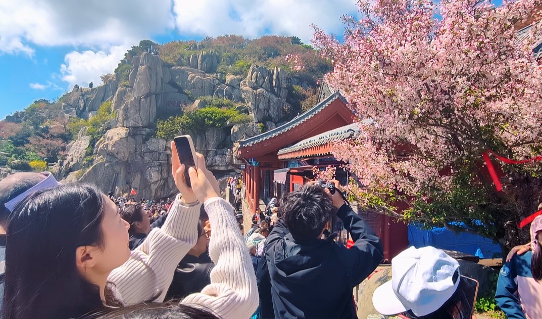 ErHao671's tweet photo. On May 5th, the beginning of summer, Mount Tai in the east is presenting a grand floral spectacle.#好客山东 #Shandong #Taian #24solarterms https://t.co/0eUk1KeHj7