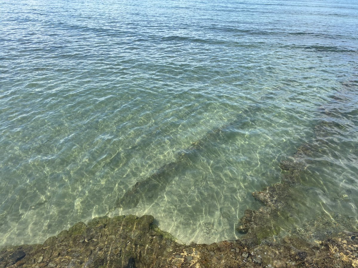ju_km's tweet photo. 青島。幻想的な岩場。海も綺麗だった。 https://t.co/nl5Oqx5bTL
