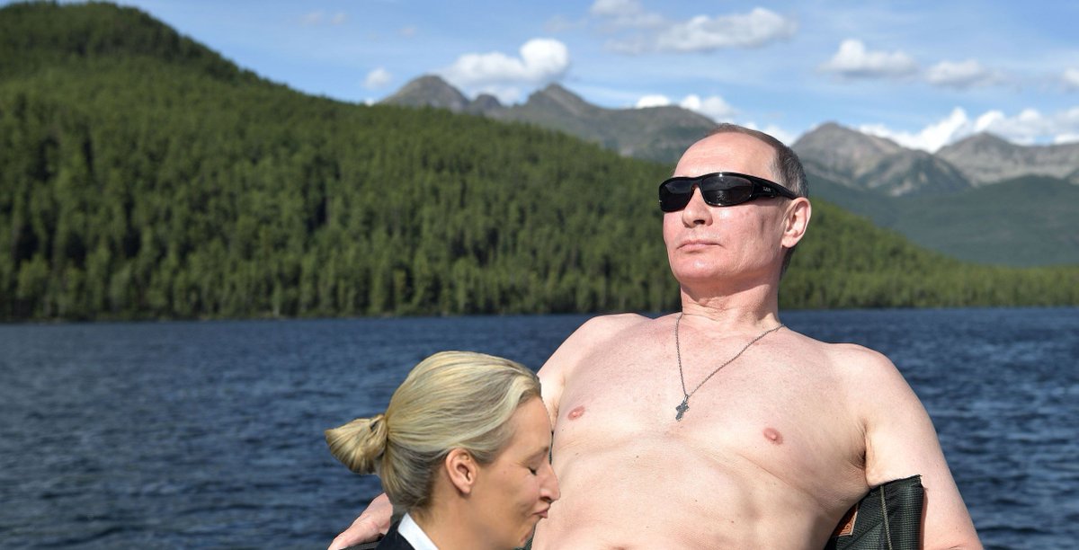 TheDudeFollows tweet media