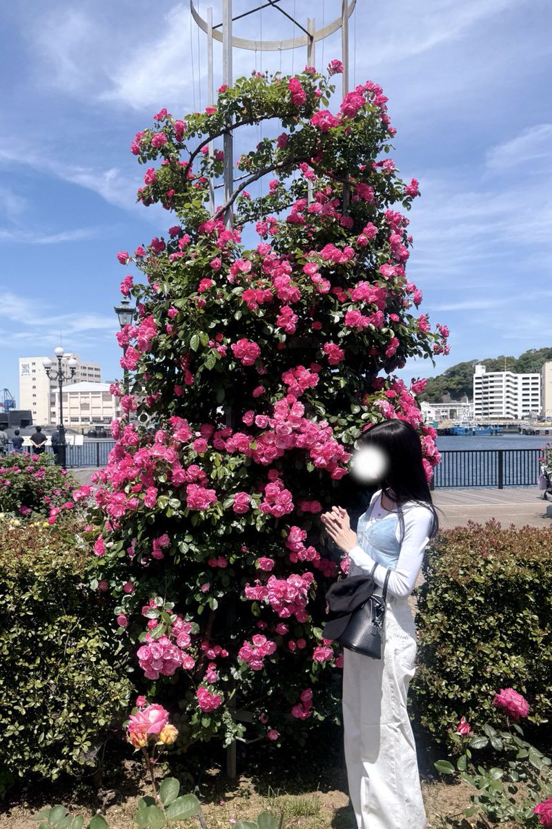 𝑛𝑎𝑔𝑖𝑐ℎ𝑎𝑛¨̮໒꒱ tweet media