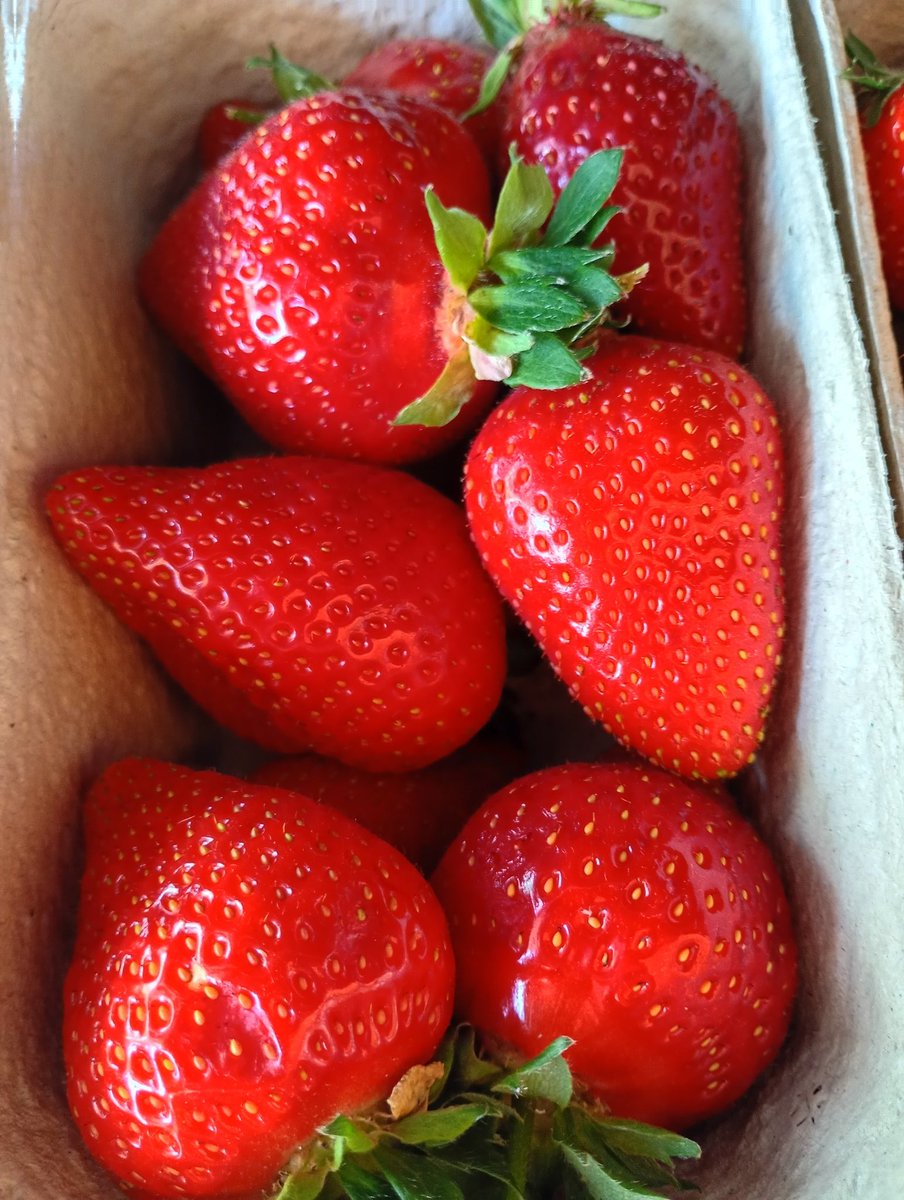 Goacher's Fruit tweet media