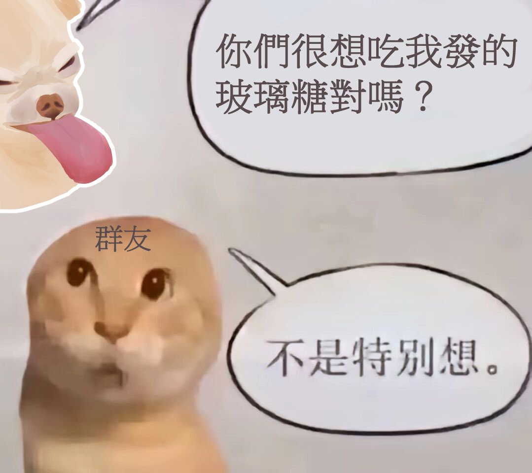 紫憨吉娃娃 tweet media