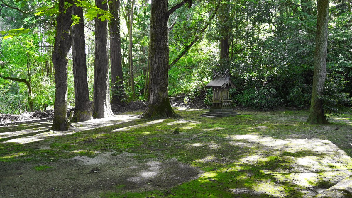 mbeattap's tweet photo. 春日神社と伯耆の大シイ

#om3 https://t.co/2Lvg2iOxhm