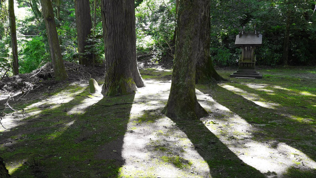 mbeattap's tweet photo. 春日神社と伯耆の大シイ

#om3 https://t.co/2Lvg2iOxhm