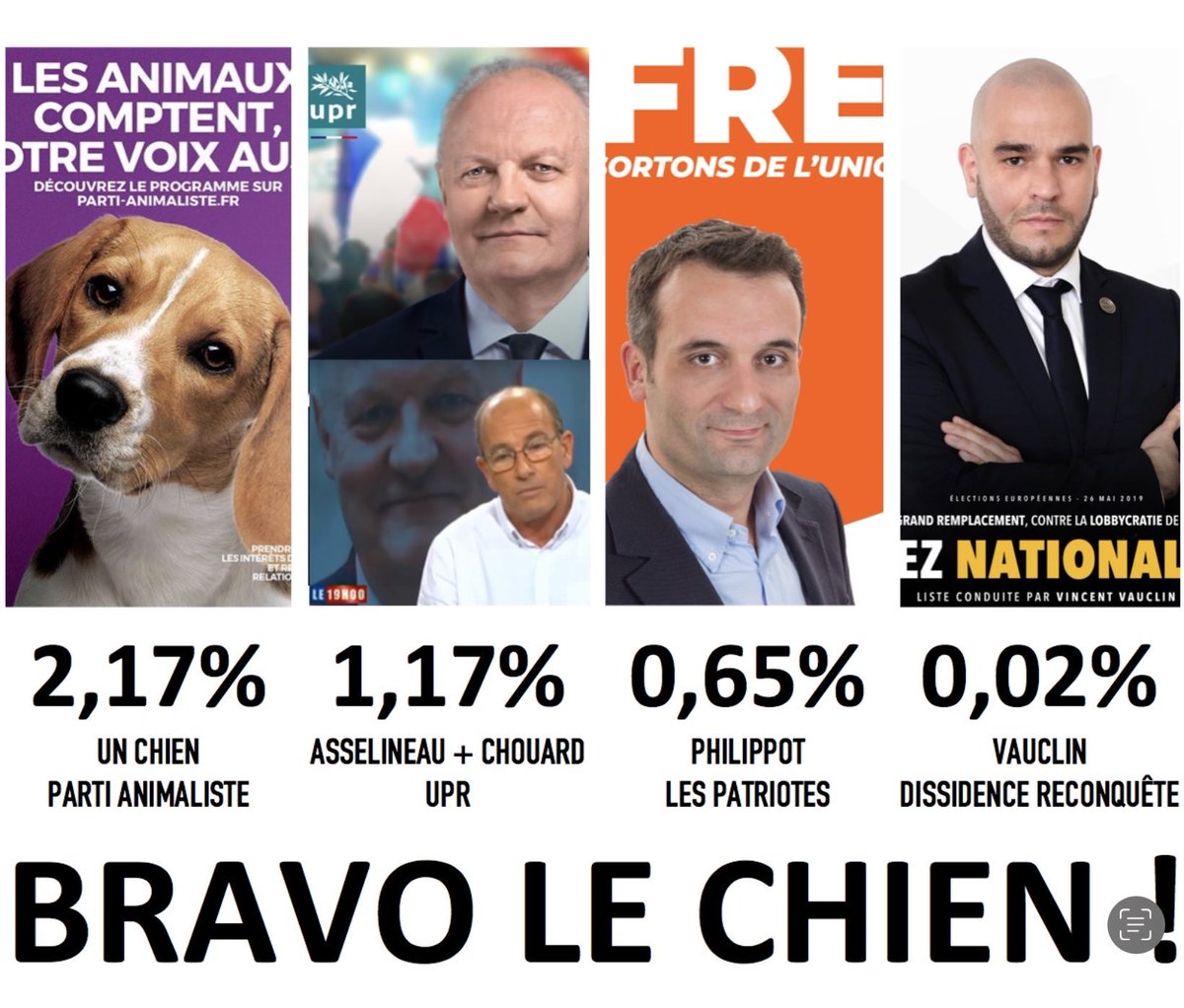 Le chien a fait mieux que les 3 autres chiennes de poutine . La grande gueule de <a href="/f_philippot/">Florian Philippot</a> n'arrive meme pas a dépasser 1%