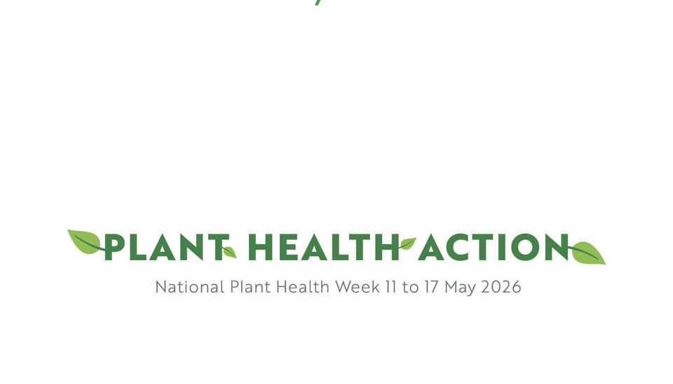 CallumWatson__'s tweet photo. It’s National Plant Health Week, an annual event designed to raise public awareness and engagement on how to keep our plants healthy. 

#nationalplanthealthweek #higheststandards #StAustellGardenCentre #shoplocal https://t.co/QueHSL6wYk