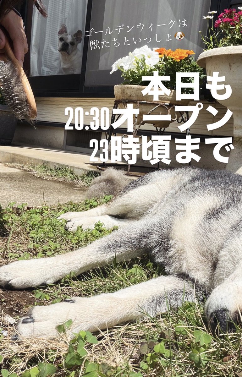 chie_019's tweet photo. https://t.co/gQpH0Io9Ye