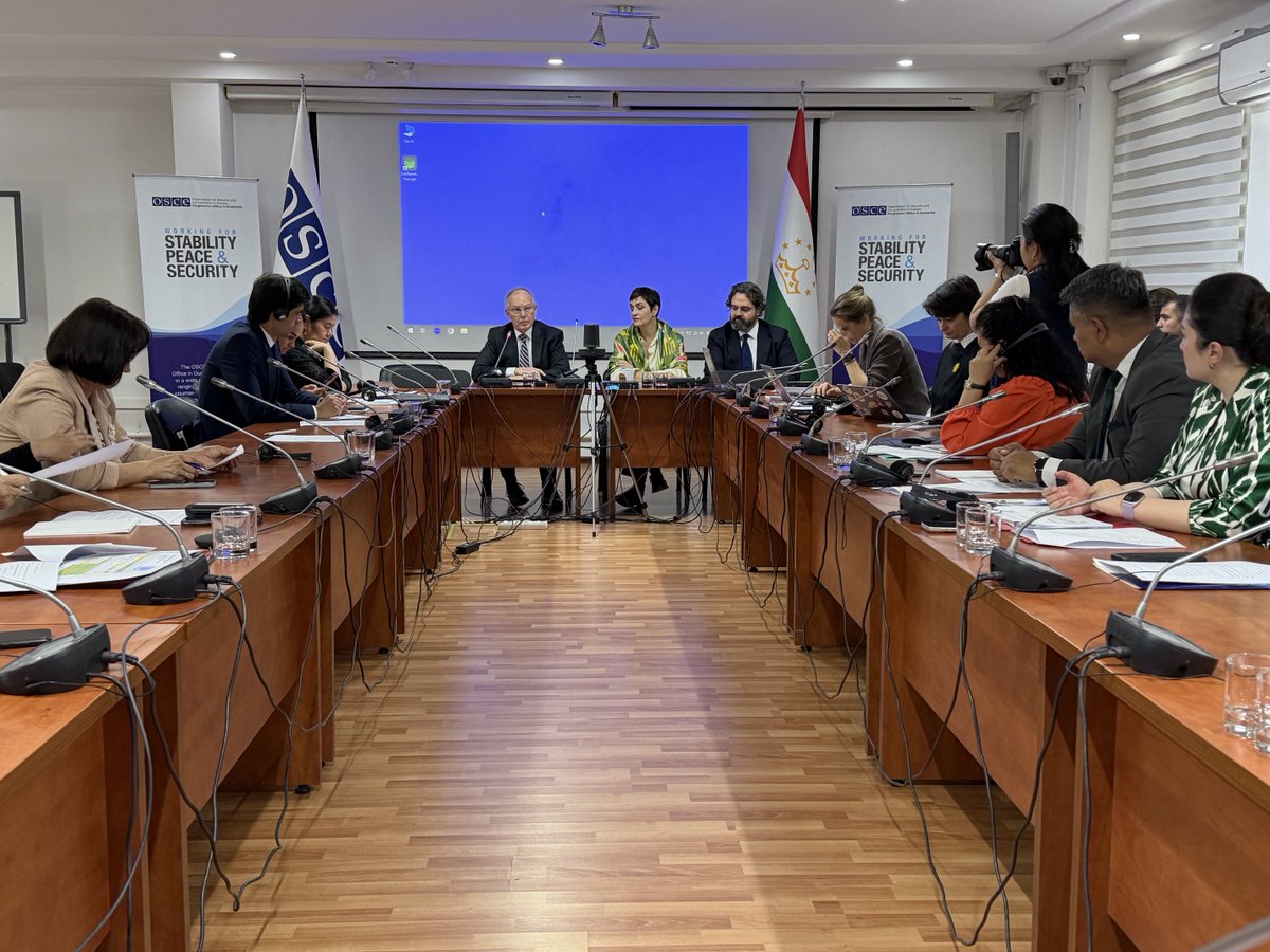 OSCE media freedom tweet media