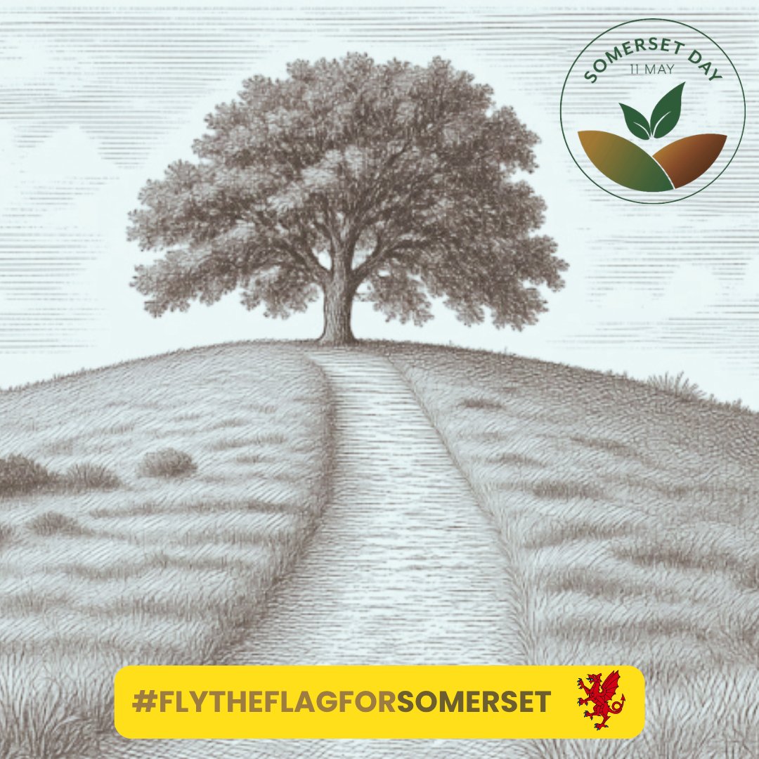 Train4All's tweet photo. Let's #FlyTheFlagForSomerset - today &amp; always. Happy Somerset Day! 💛❤️ #SomersetDay https://t.co/gp1BogyxJh