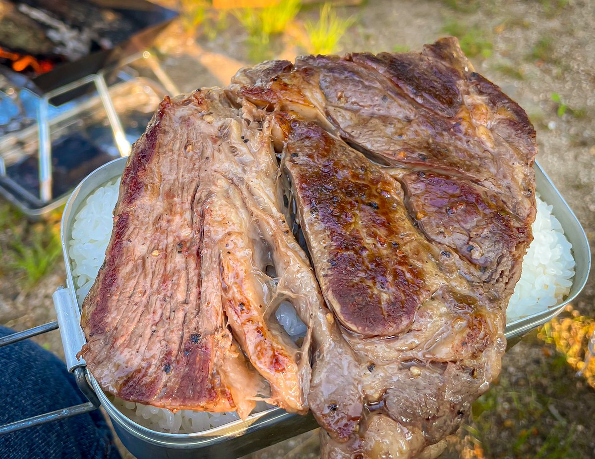 usagingweapon's tweet photo. サイズなんも考えていないね！
バカ焼肉丼の完成！！！🍖🍖 https://t.co/b6yZGWC7Sx