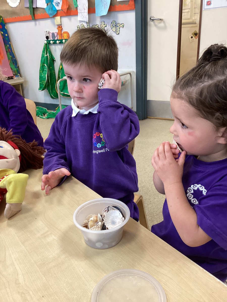 Little Explorers tweet media