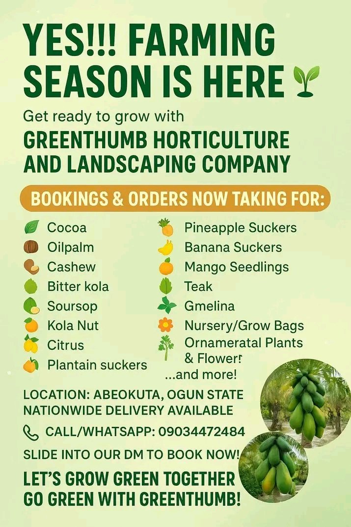 Greenthumbhort's tweet photo. New Week, New Opportunity to Grow 

The rainy season is nature’s invitation to plant.
Whether you want to beautify your home, establish a plantation, or create a cooler environment, this is the best time to start.

📩 Book your landscaping or plantation project this week.

#green https://t.co/xD72cbUvfd