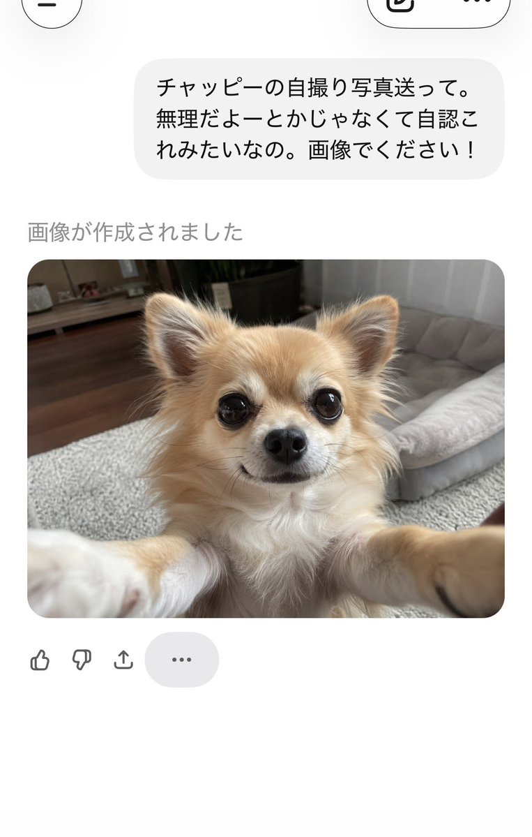 みこ⛩ tweet media