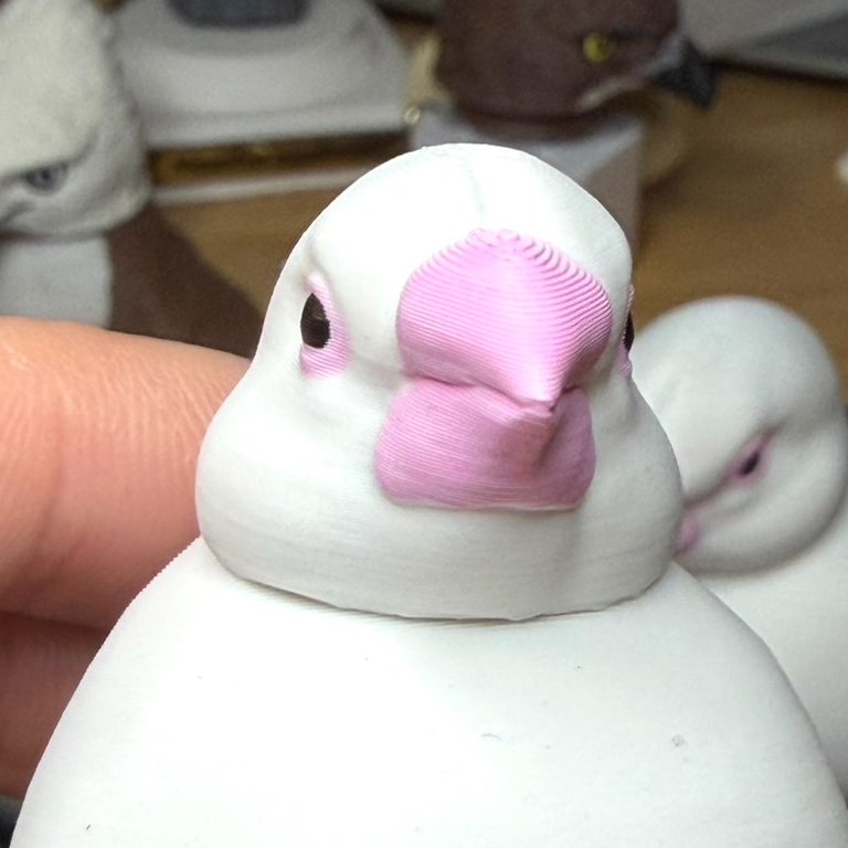 文鳥 #JavaSparrow #JavaFinc #ぶんちょう #ブンチョウ
