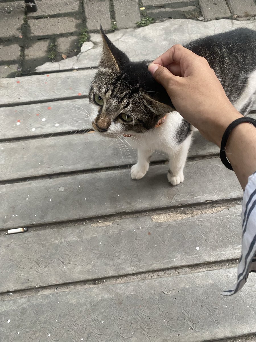 studnay_'s tweet photo. hehehe segitu dulu updatenya <333 my life was so fun lately Alhamdulillah🤩💥 MAAF JRG UPDATE love ya ol🫰🏻 https://t.co/a0xCs6rRd4
