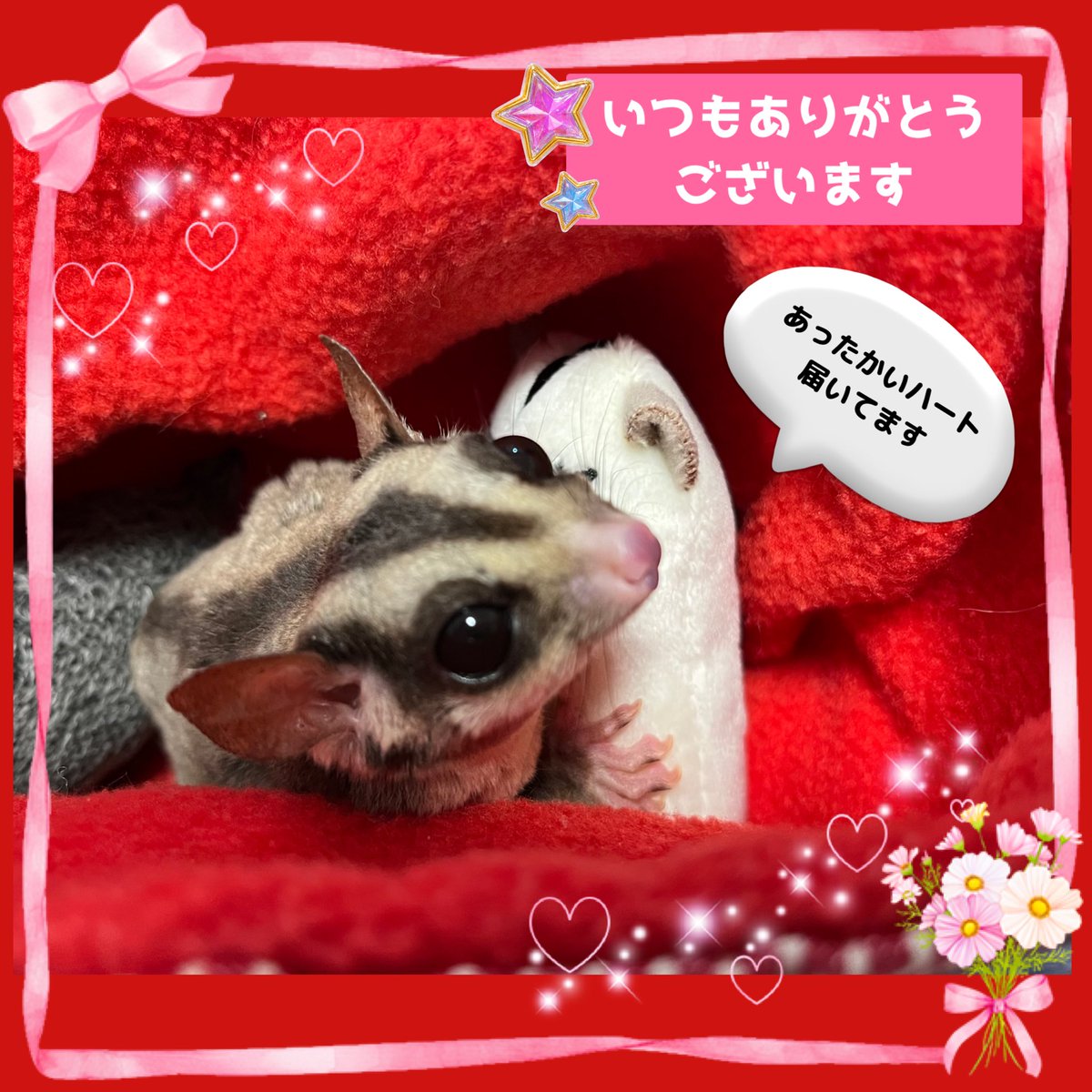 兎月（うづき） tweet media