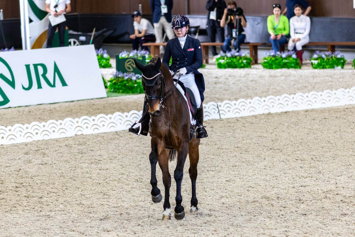 馬場馬術DVD 2枚組 ENJOYING DRESSAGE 1&2 馬具・乗馬用品・FEI ヨーロッパ選手権馬場馬術 2015・ボロ