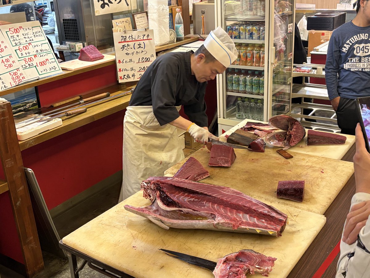 siropagusienta's tweet photo. ラグーナ蒲郡の続き
久しぶりの南国🏝️ムードに
癒されました
マグロ🍣解体見れた！
観覧車🎡見れた！
パフェ食べた！
#ラグーナ蒲郡　#南国　#カローラツーリング https://t.co/9j5lWjpiPt