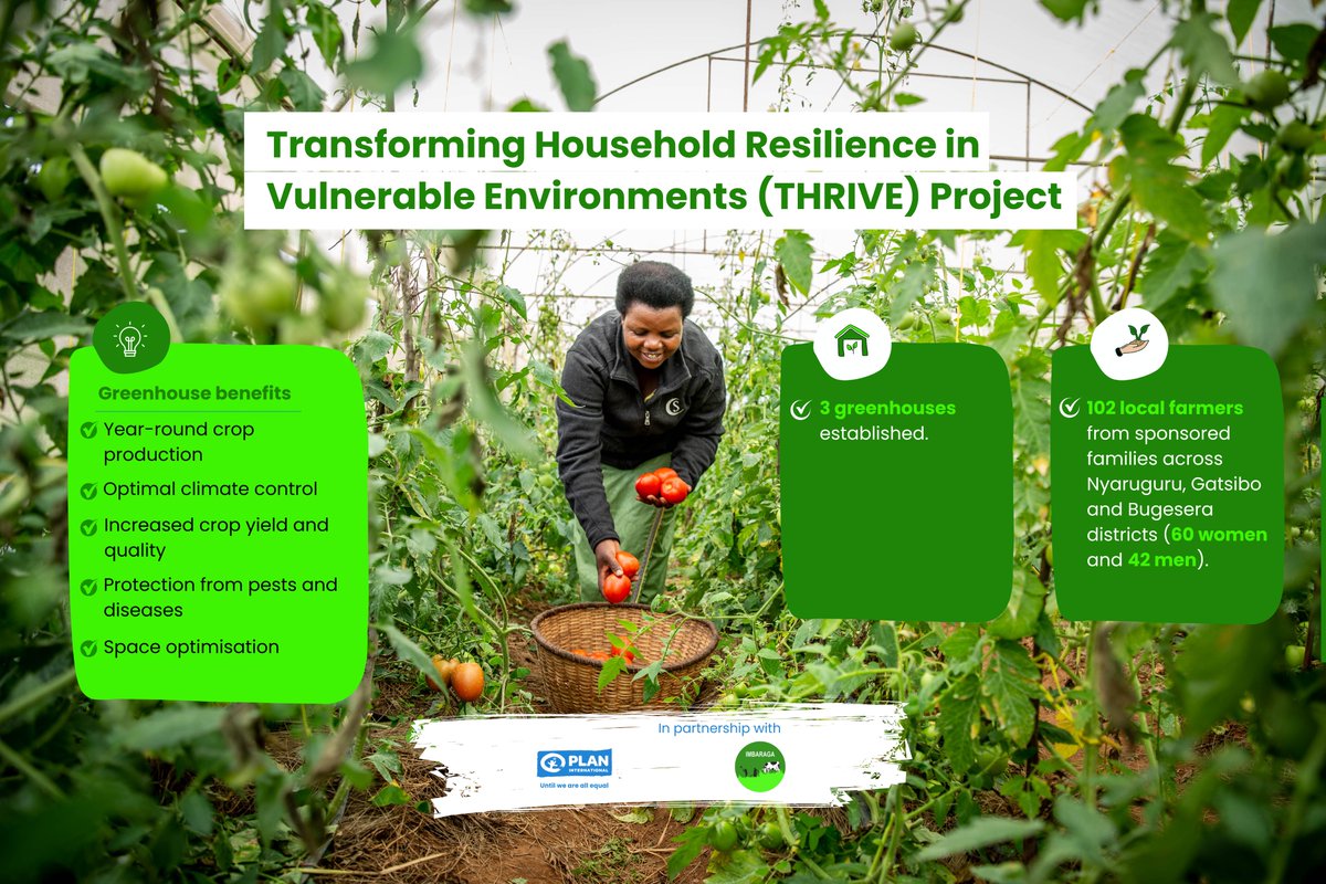 Plan International Rwanda tweet media