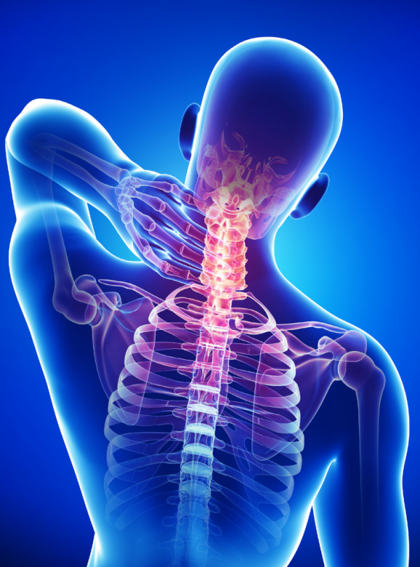 brain_total's tweet photo. Don’t let persistent stiffness hold you back; meet with a dedicated Neck Pain Doctor at Total Spine &amp; Brain Institute. We offer comprehensive evaluations to identify the source of your cervical discomfort. Visit: https://t.co/lBZPc6Qk9L
#neckpaintreatment #neckpaindoctor #spinal https://t.co/kSRIuhACaO