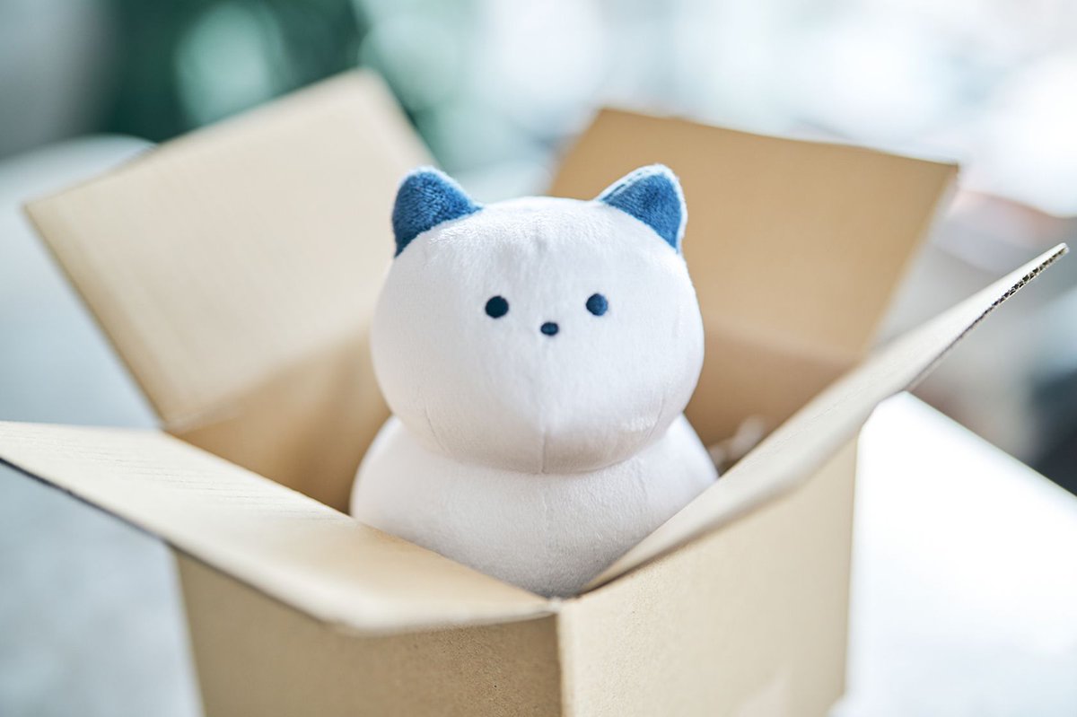 デザフェスに向けて、箱猫ちゃんのぬいぐるみを準備中！もっちり手のり