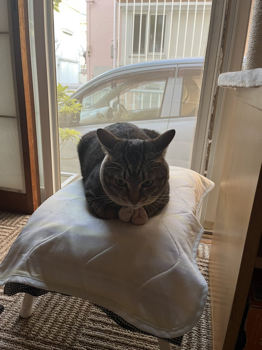 カズチィ (kazue) tweet media
