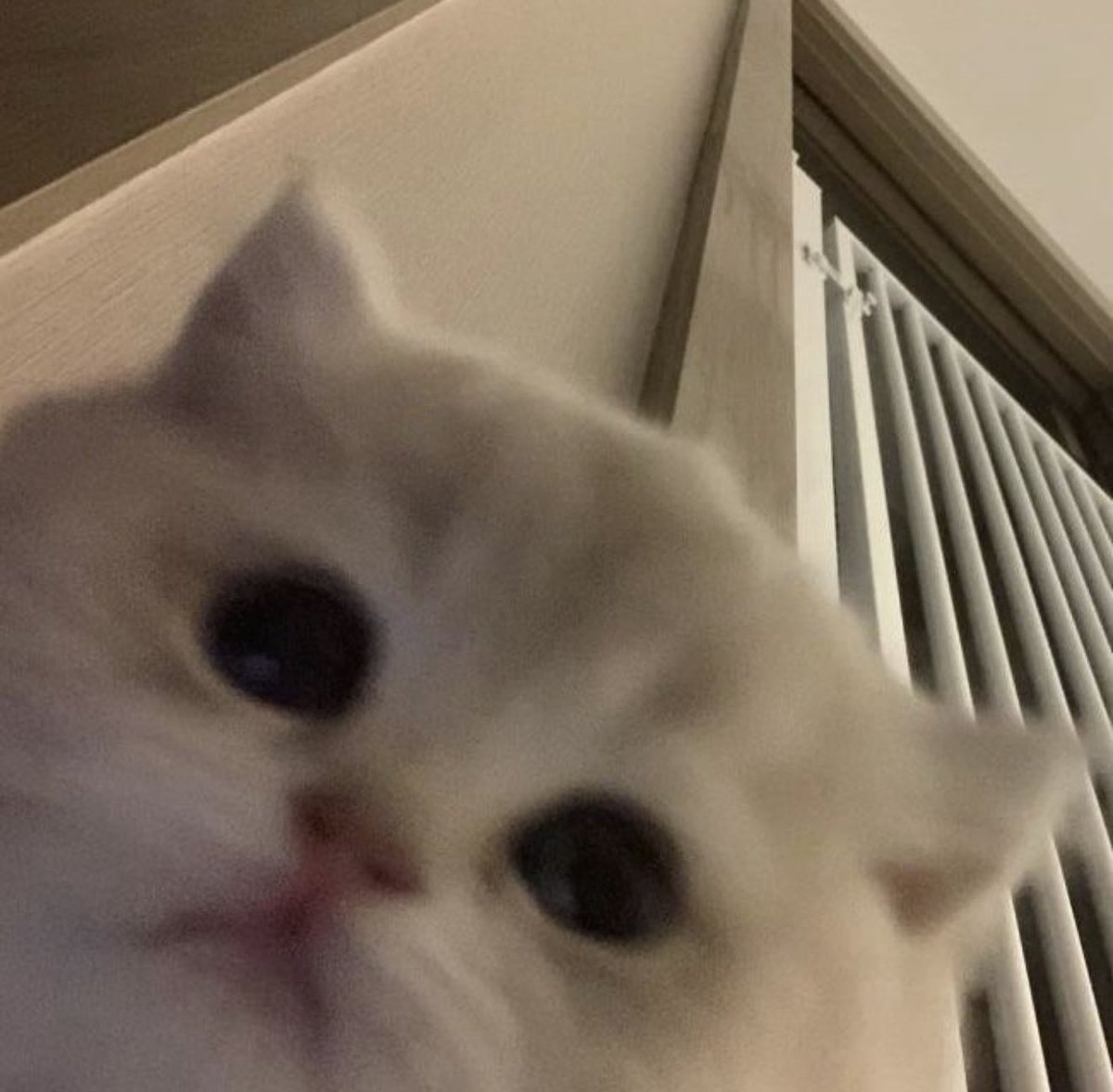 ก้อนเมฆ ☁︎ tweet media