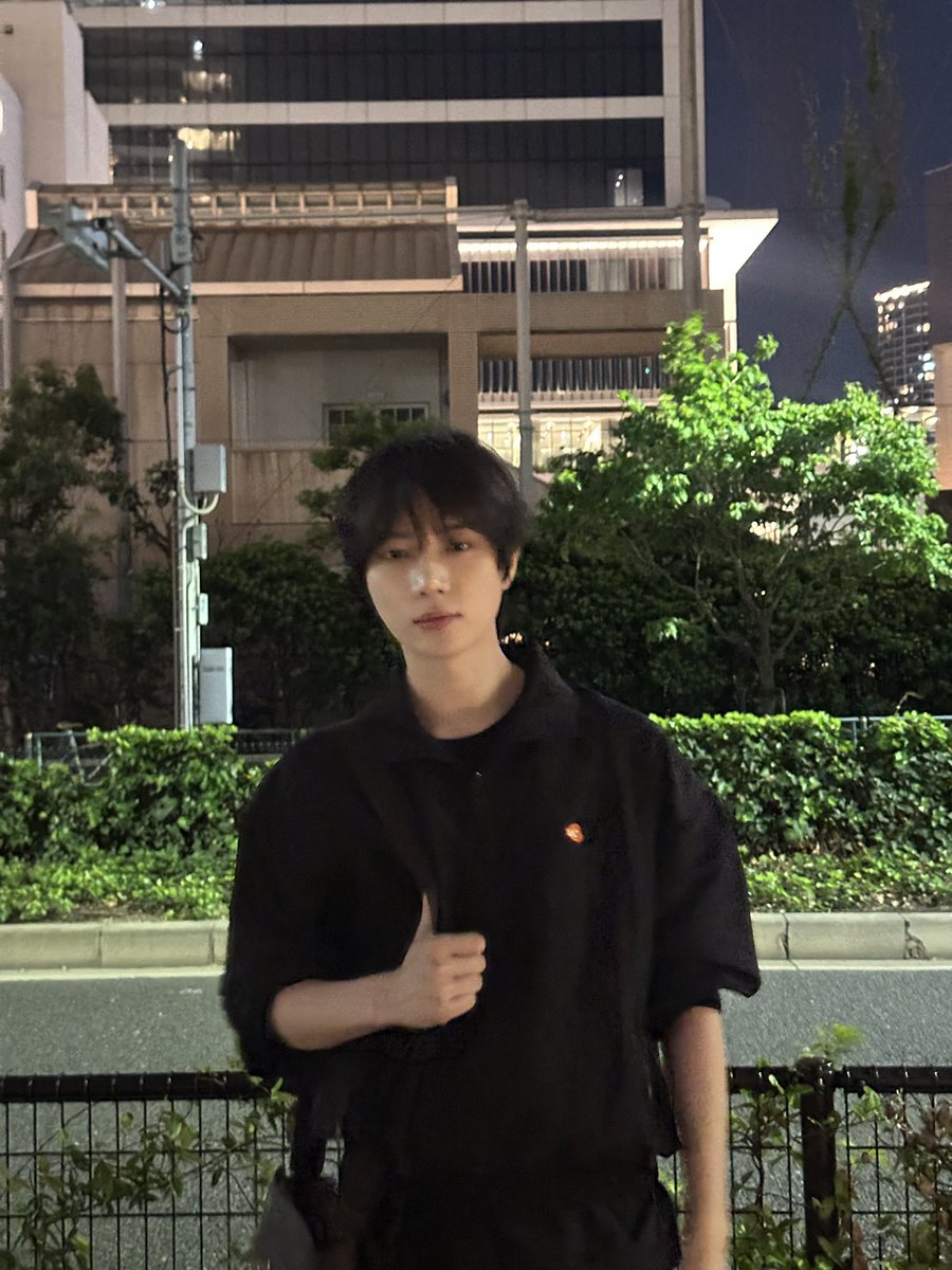 gyuparfait's tweet photo. chat i love this puppy so so much https://t.co/cF1nbCqTeu