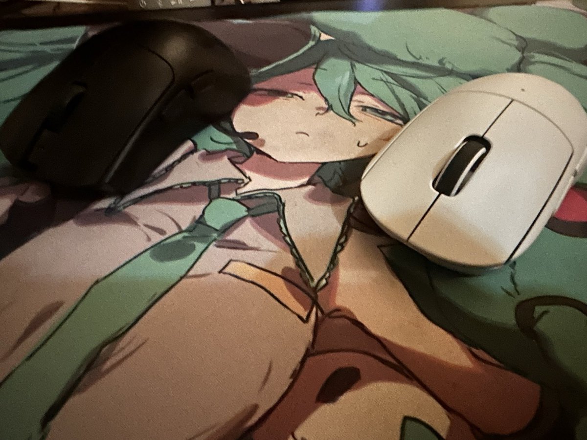 Aix8385's tweet photo. @NekoStranding @smiroyama https://t.co/ExsKgKkGx7