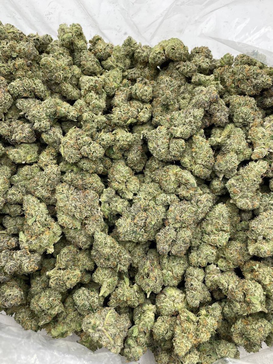 LitShop2's tweet photo. Cherry Snowcone indoors 🍒
——————————————————
Frosty bright green low ticket indoors with hints of color. Nice cherry gelato nose https://t.co/xb0NzK9Yta