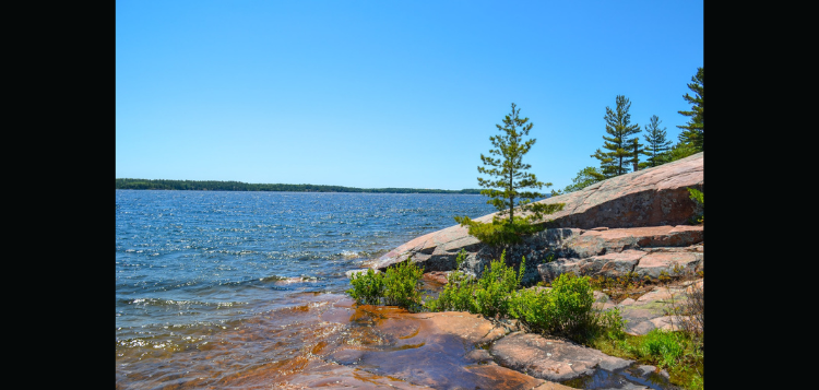 MuskokaWindowDC's tweet photo. District launches new funding program to help protect and improve Muskoka lakes - South Muskoka Doppler https://t.co/fJ8kB6LAOh

#Muskoka #LakeStewardship #LakeAssociation https://t.co/Y9VFza0vYb