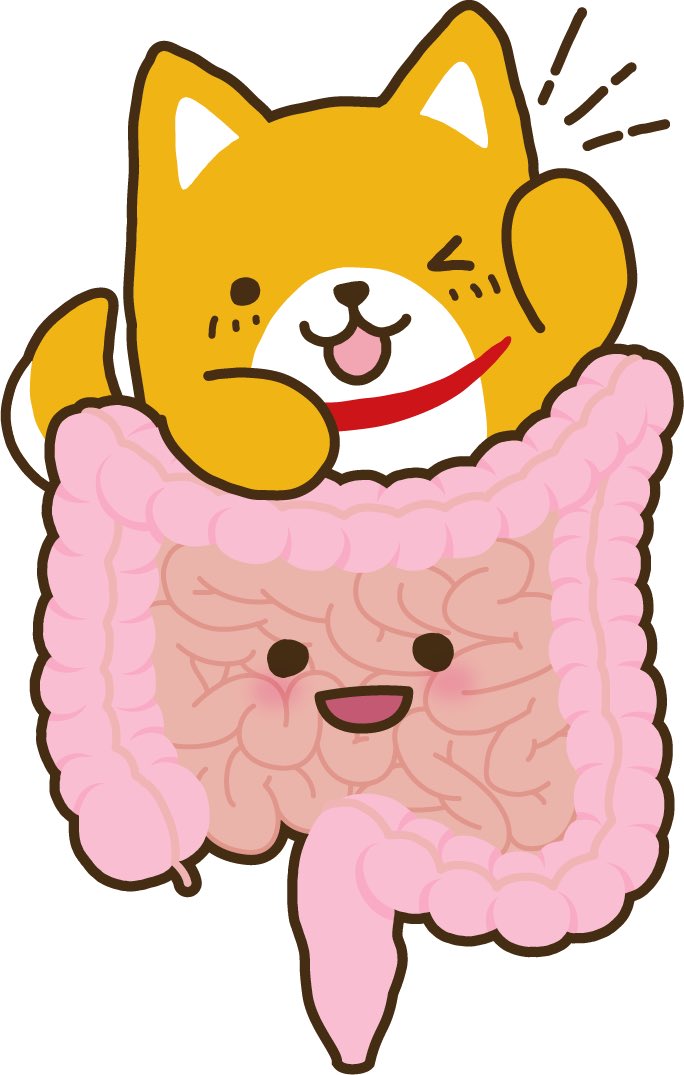 ケアネットのわんこ🐶コム太《公式》 tweet media
