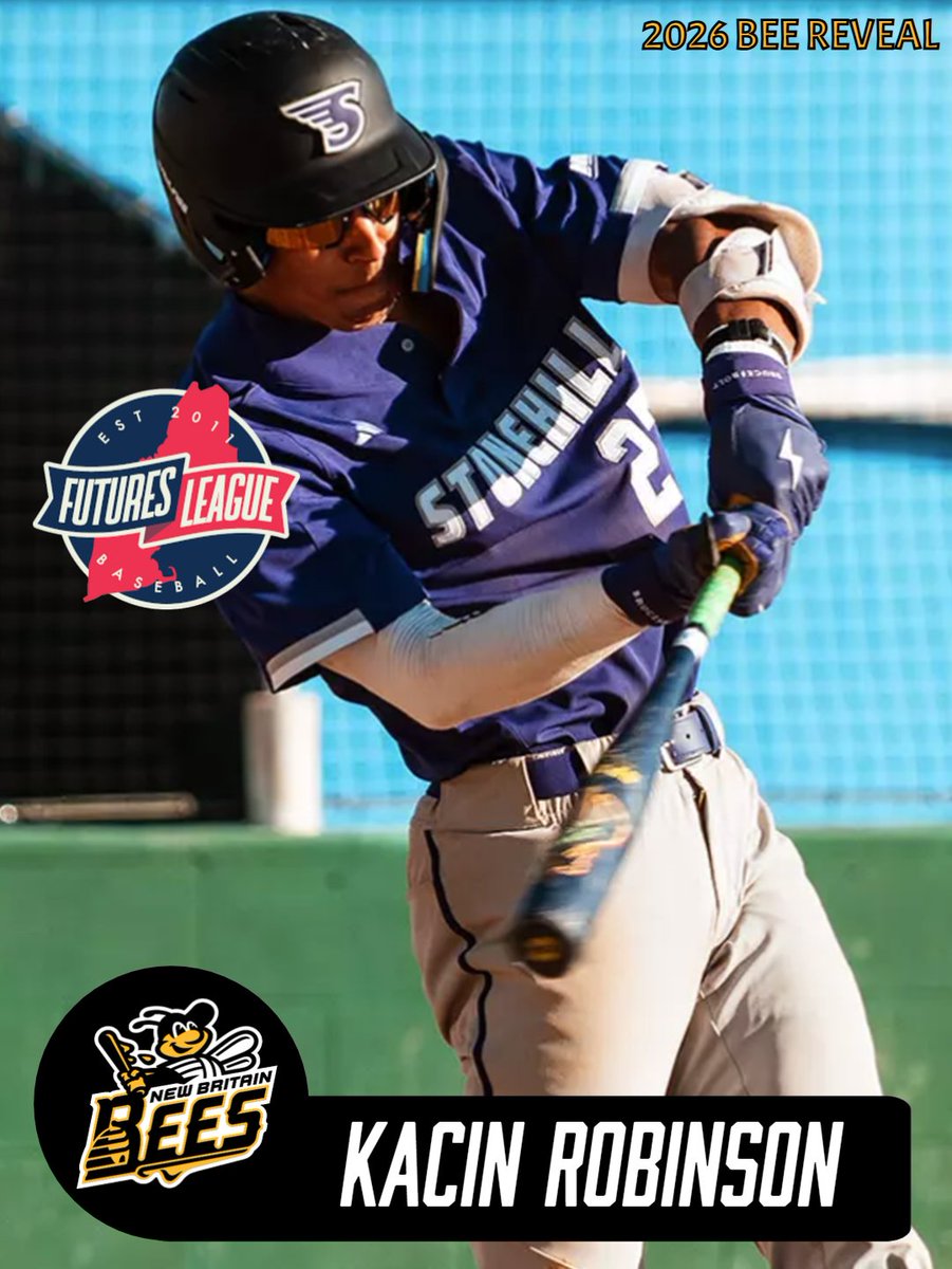 New Britain Bees tweet media