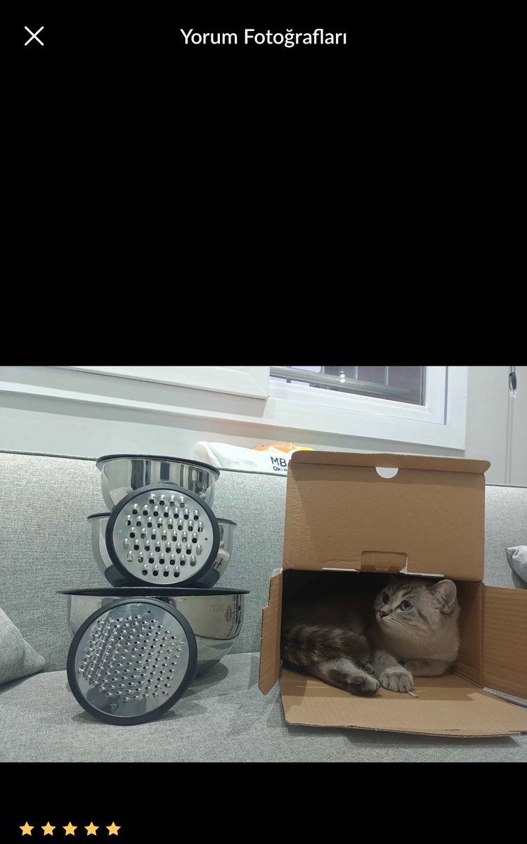 eylulumshine's tweet photo. Ben basit bir insanım Trendyol yorumlarında kedi görünce ürün güven veriyor ve alasım geliyor https://t.co/aQHoUVbsJi