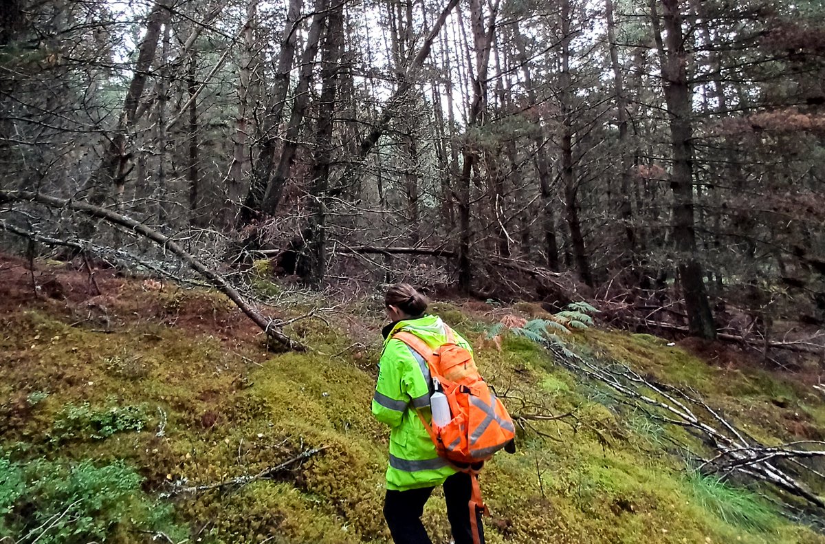 scotforestry's tweet photo. It’s #PlantHealthWeek! Did you know preventing pests and diseases is easier than removing them?
 
Tree professionals, landowners and managers can take simple steps, such as:
 
• Reporting  issues to TreeAlert
• Keeping vehicles and machinery clean
 
https://t.co/HOjreIhBMH https://t.co/kDXZrWjxBb