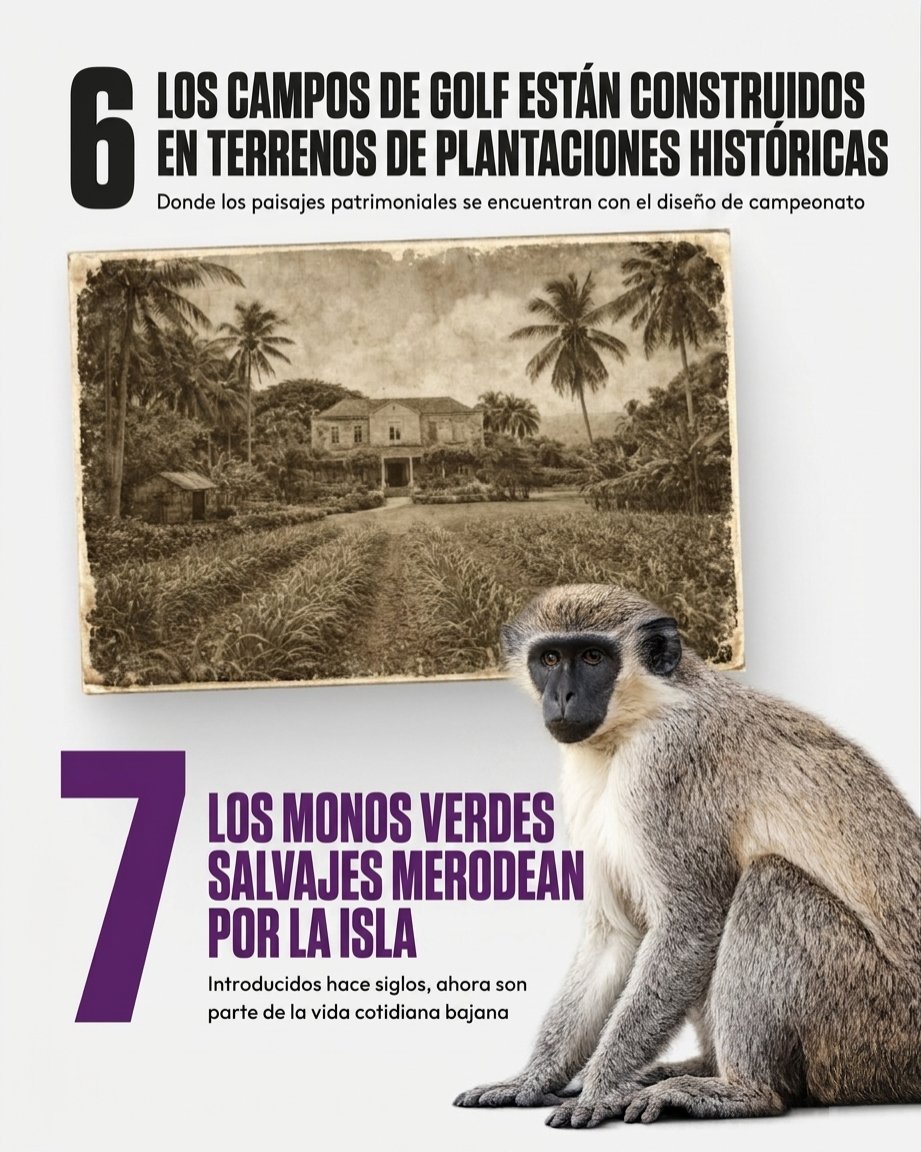 Embajada de Barbados Venezuela tweet media