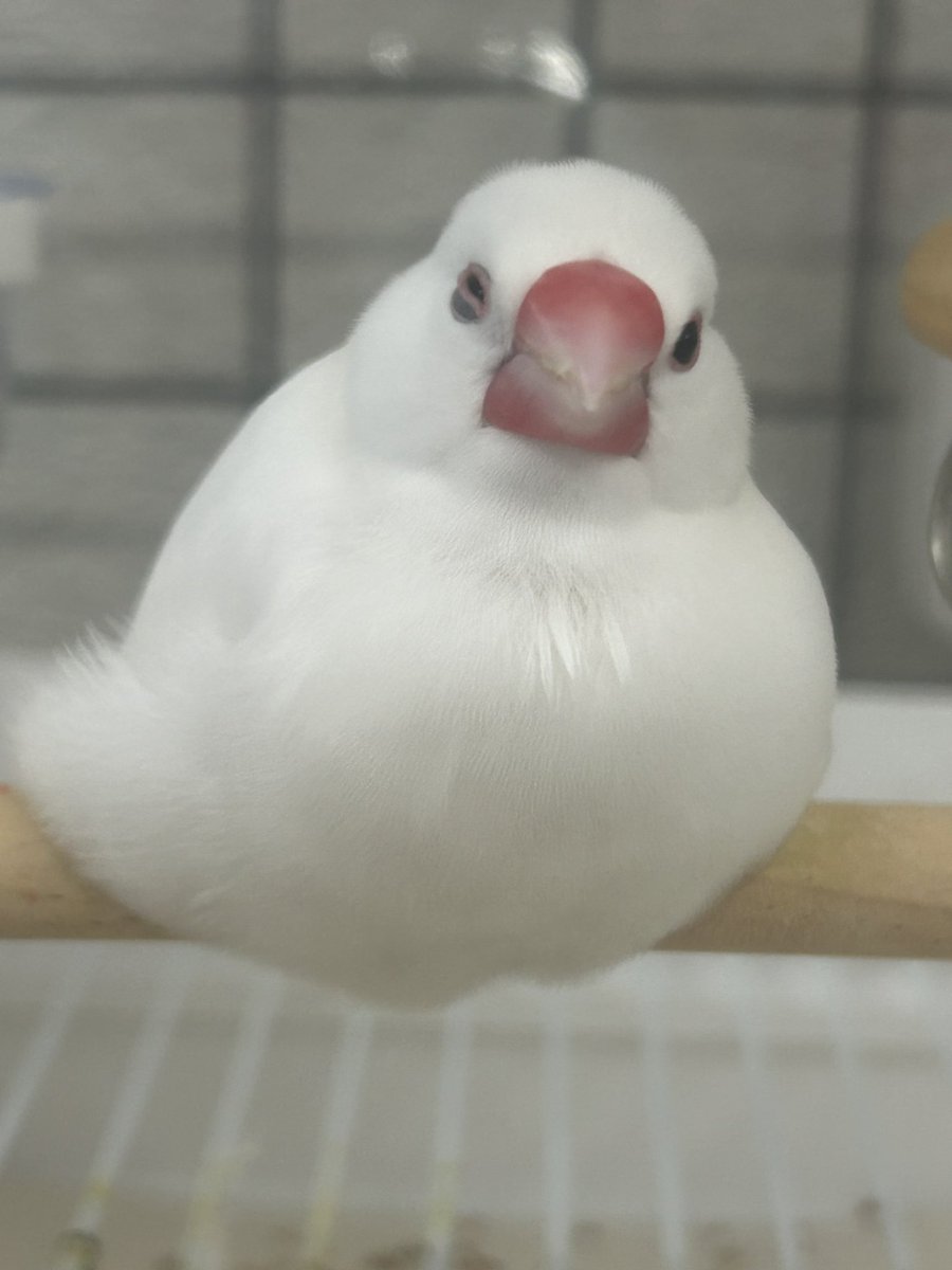 本日もがんばって生きてました。 とりあえず早く座りたい。 今朝は弥富