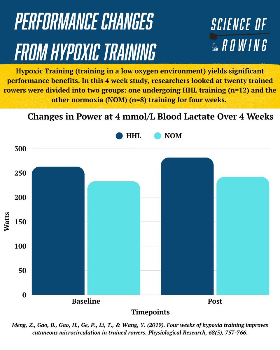 Science of Rowing tweet media