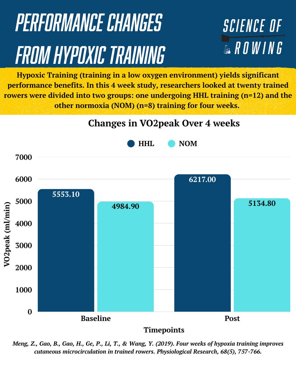 Science of Rowing tweet media