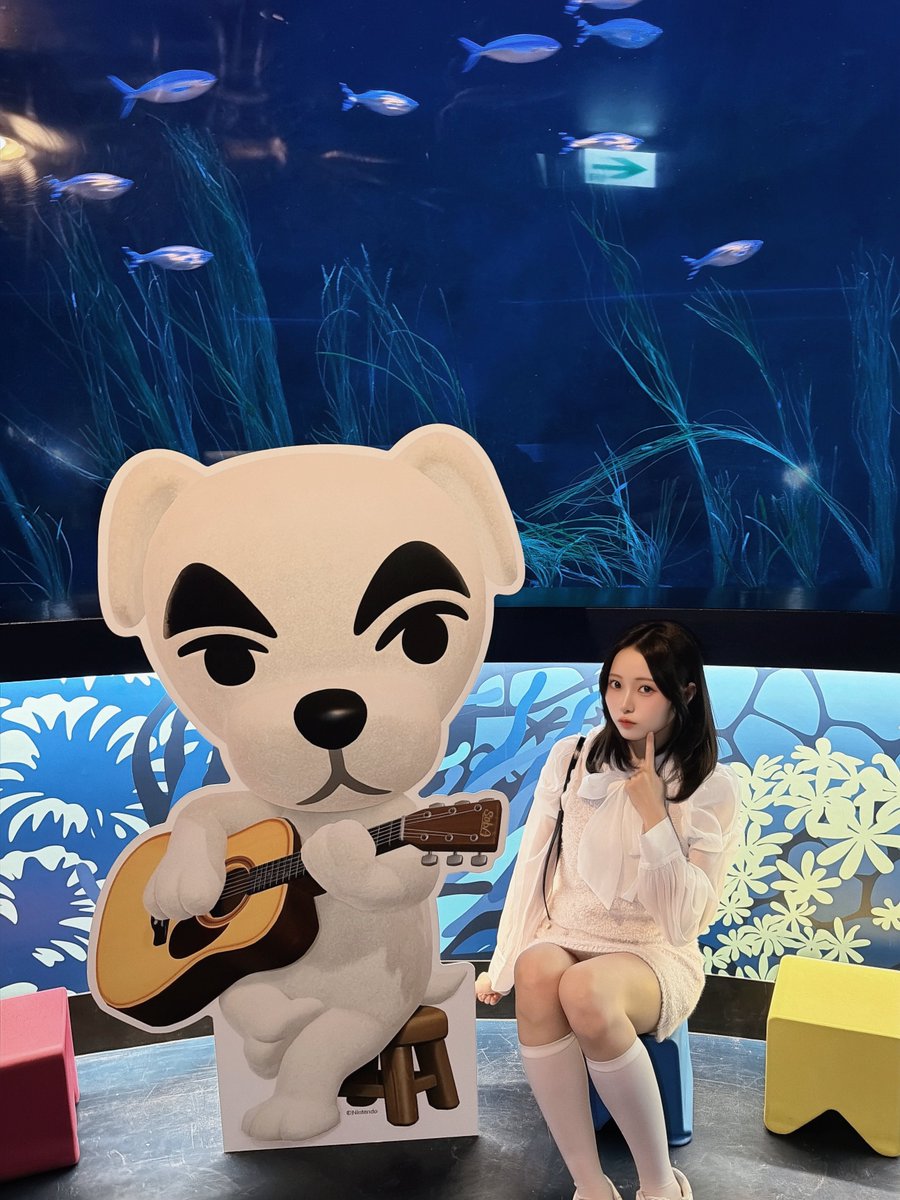 橋本桃呼 tweet media