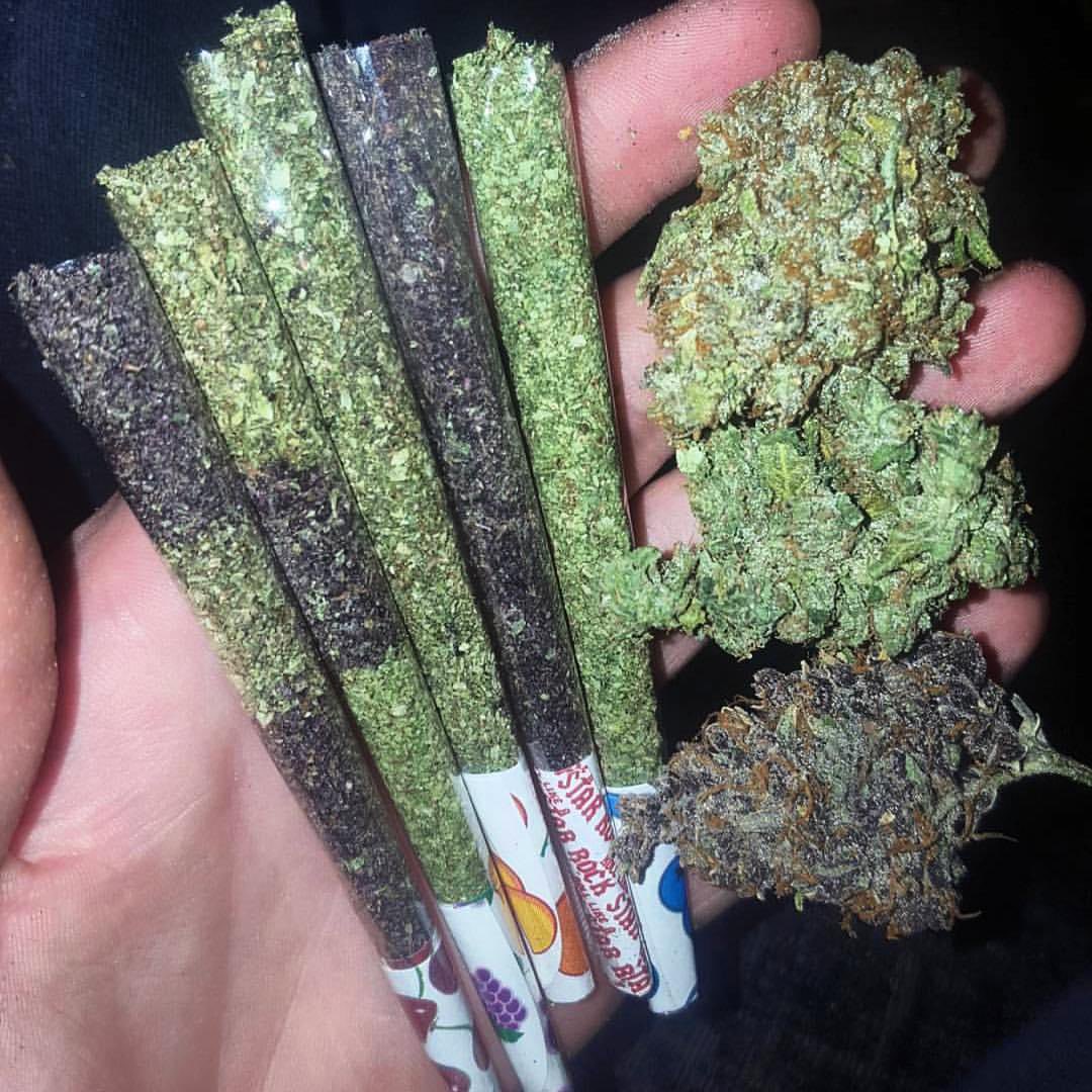 sincity seeds tweet media
