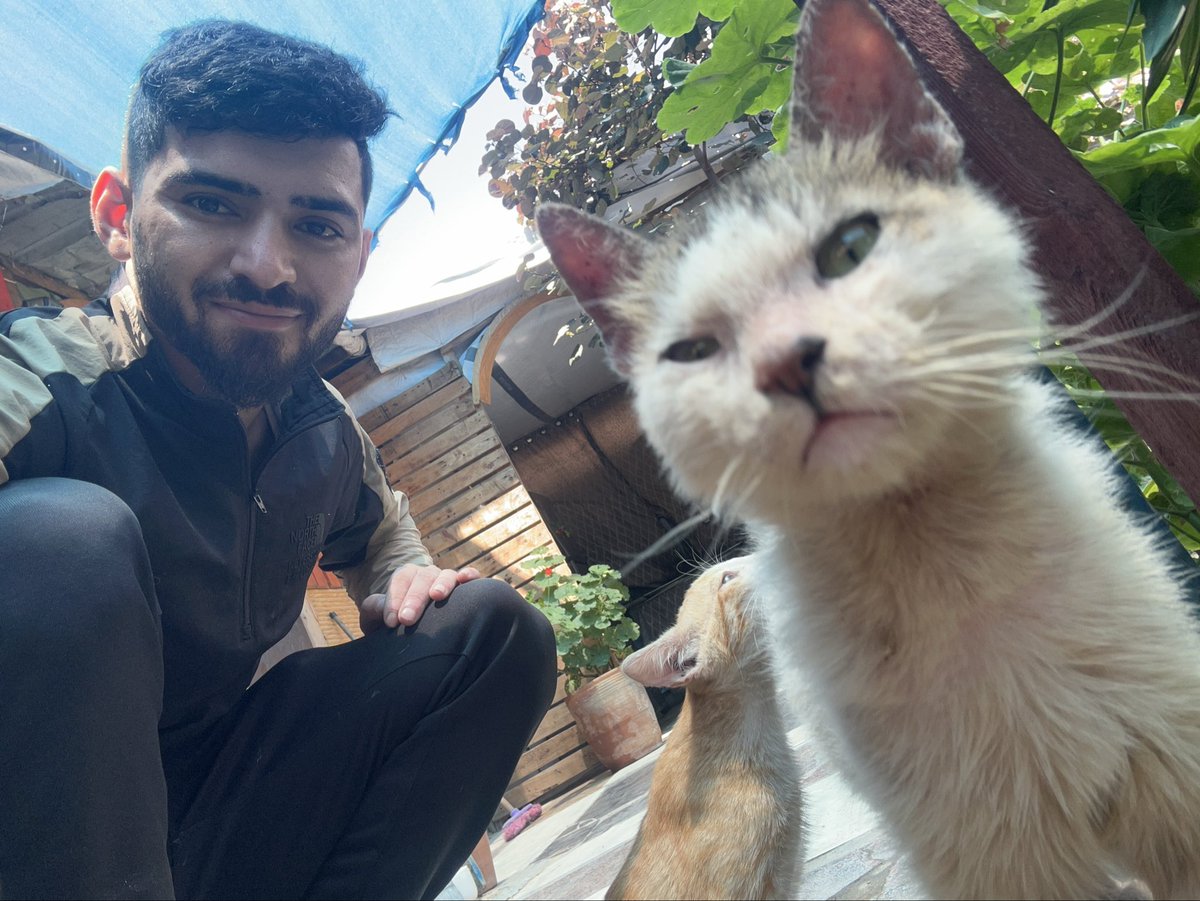 Salam animal care tweet media