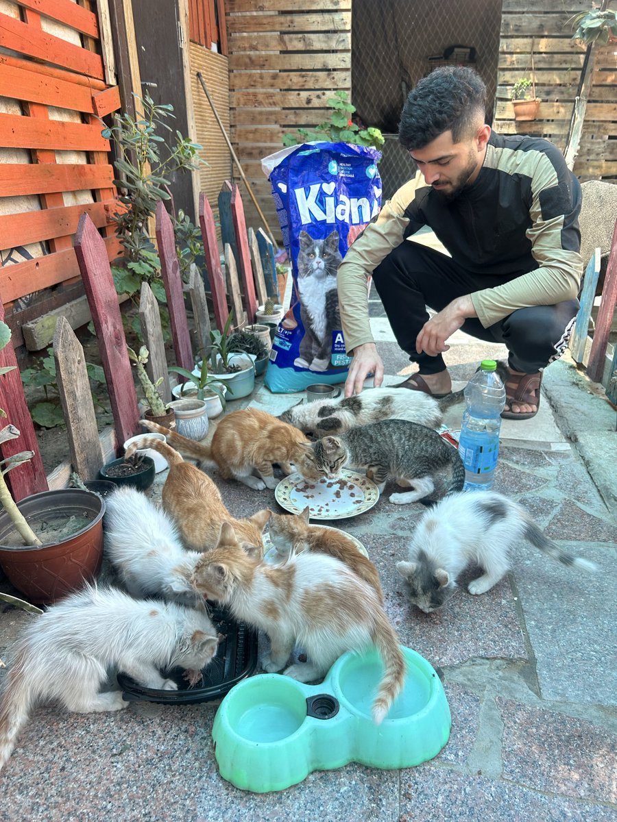 Salam animal care tweet media