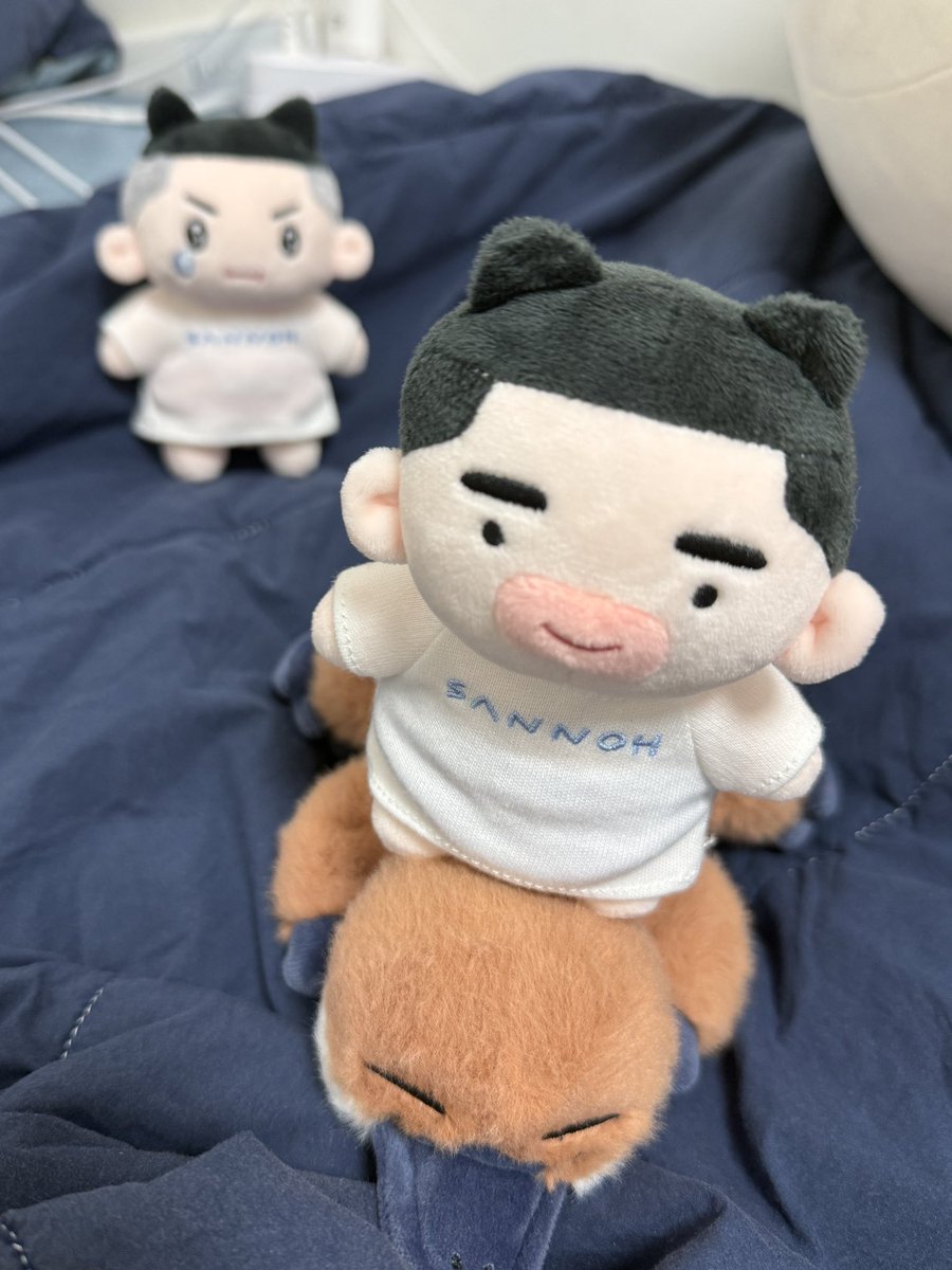 impuju156's tweet photo. 사와후카냥 잘 도착했어요 감사합니다!!
뼈 있는 인형은 처음인데 너무너무 웃기고 귀여워서 하루종일 데리고 놀고 있어요...🩵 https://t.co/rz1oq0yVSC