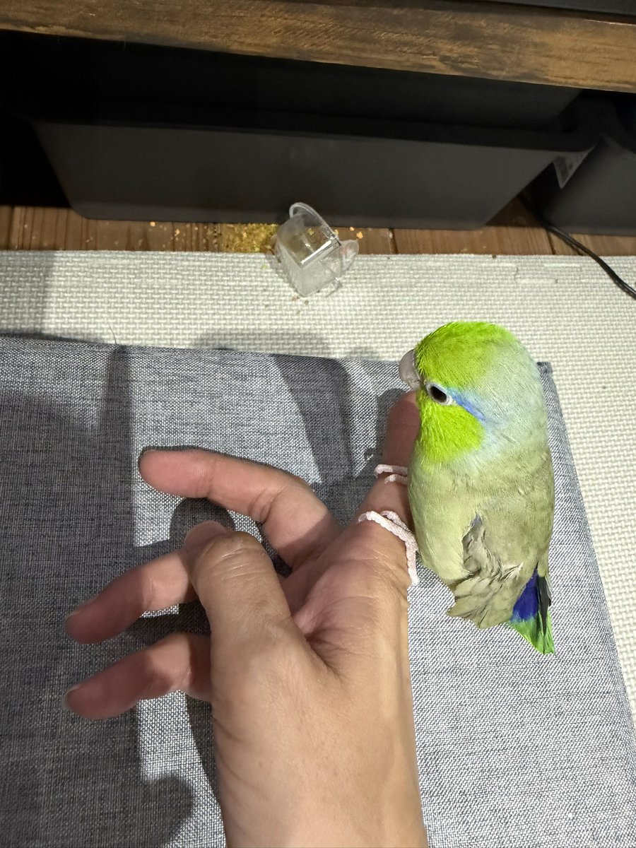 久保田キコリ tweet media