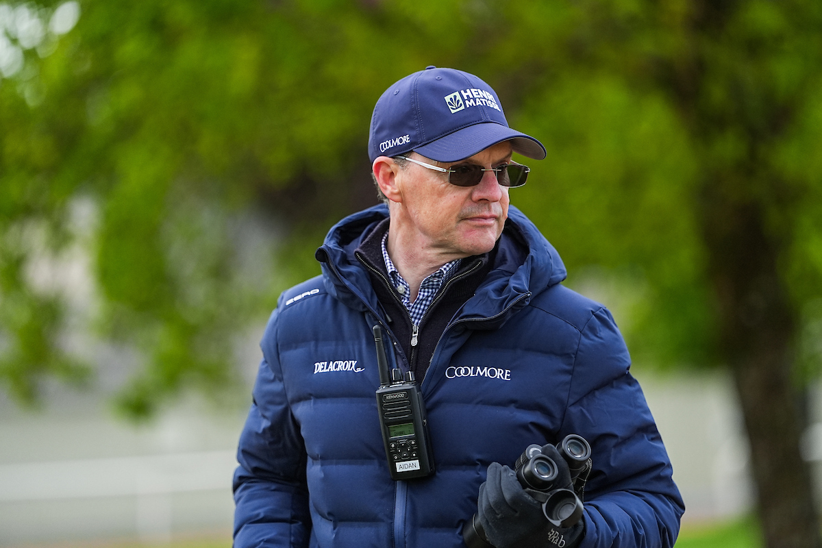 Racing TV tweet media