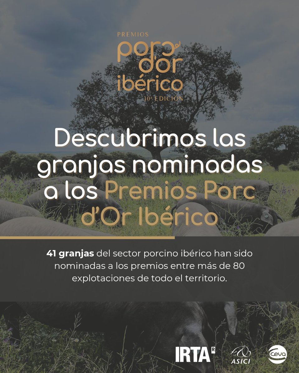 BDPorc tweet media