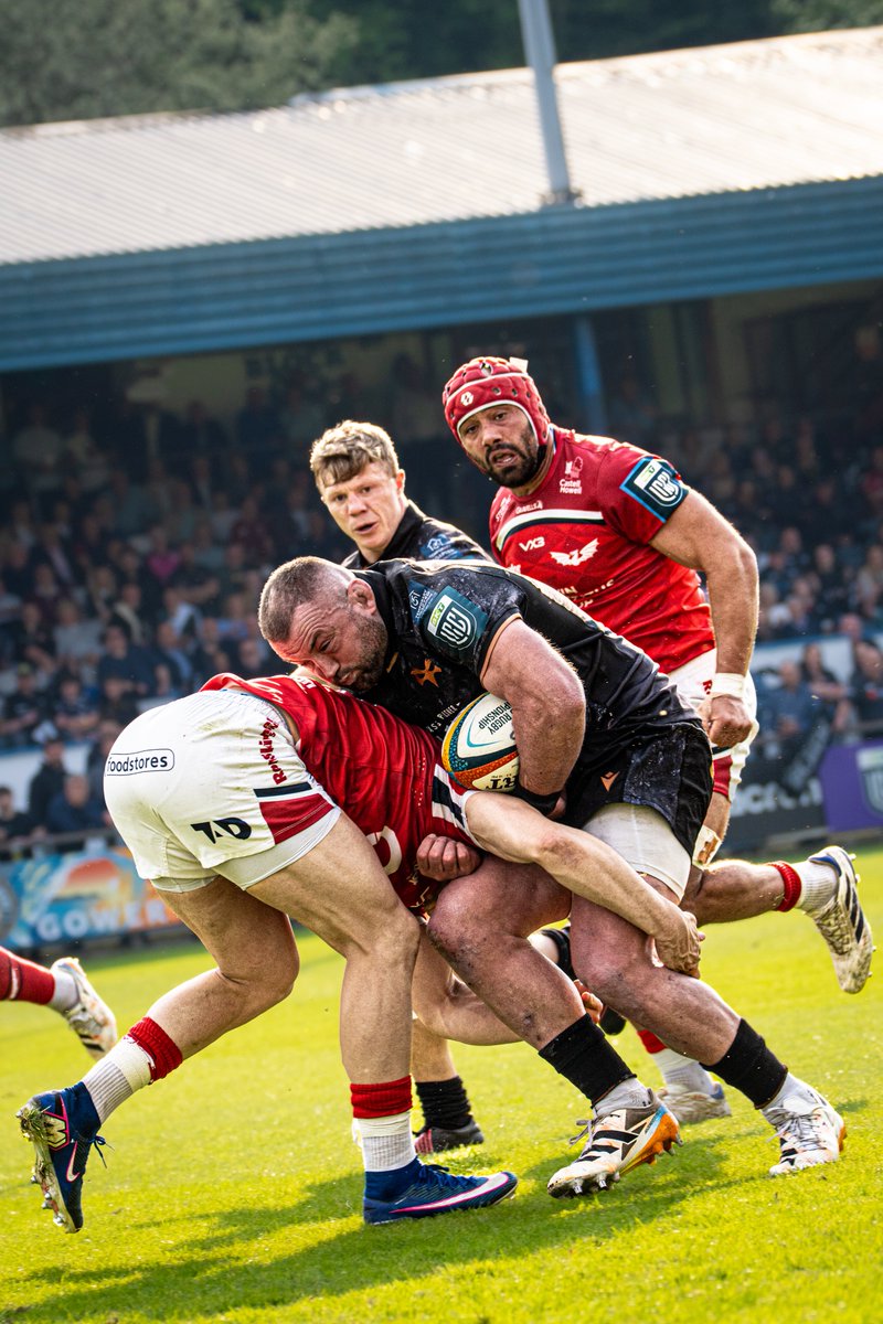 Ospreys tweet media